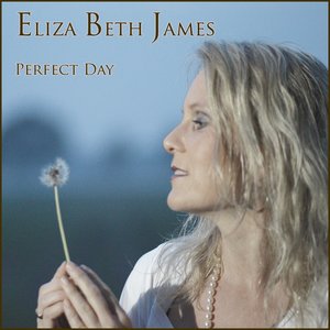 Image for 'Perfect day - Radio Edit - single'