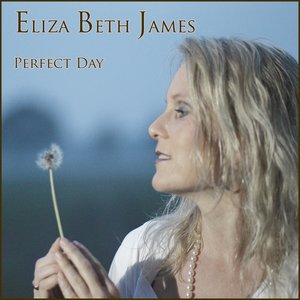 Imagen de 'Perfect day - Radio Edit - single'
