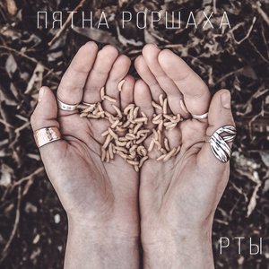 Рты
