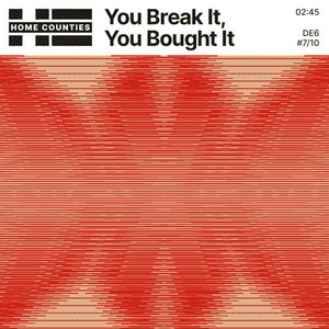 You Break It, You Bought It [Explicit]