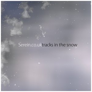 tracks in the snow