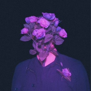 Yankee Roses 的头像