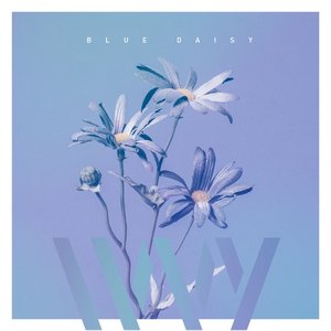 BLUE DAISY