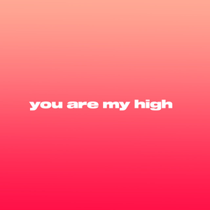 You Are My High DJ Snake Lyrics, Meaning & Videos