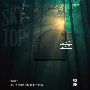 Light Between the Trees