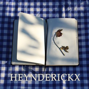 Heynderickx Demo