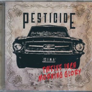Twelve Inch Morning Glory