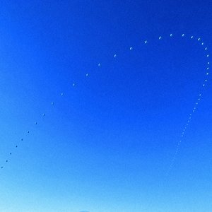 I Want You To Be Free - Single