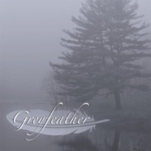 Greyfeather