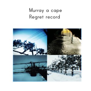 Regret record