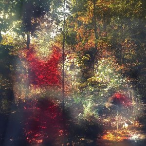 Gone Before Us (In Remembrance Of Chris)