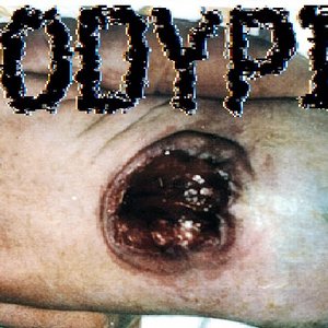 Body Pit 的头像