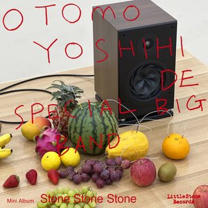 Stone Stone Stone Mini Album