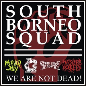 Изображение для 'South Borneo Squad'