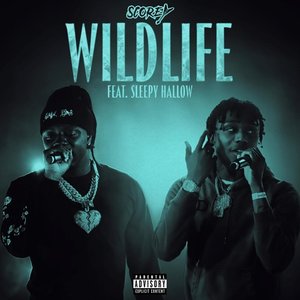 Wildlife - Single