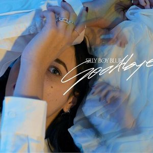 Goodbye - Single