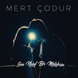 Sen Nasıl Bir Meleksin