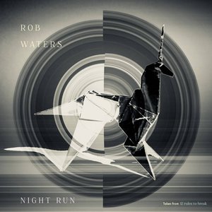 Night Run
