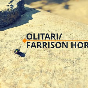 Image pour 'Farrison Hord'