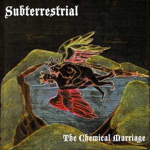 The Chemical Marriage