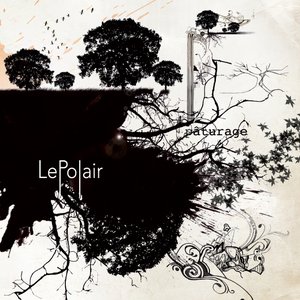 LePolair 的头像
