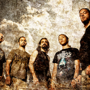 Scarab photo provided by Last.fm