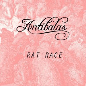 Rat Race