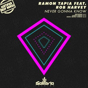 Never Gonna Know (feat. Rob Harvey)