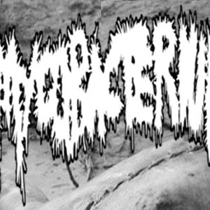 Mycobacterium のアバター