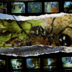 Everything Is On The Point Of Decline