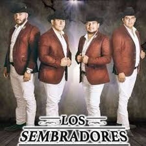 Los Sembradores de la Sierra 的头像