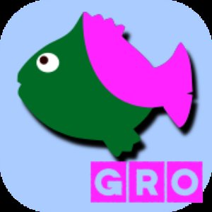 “GROLSKIRA”的封面