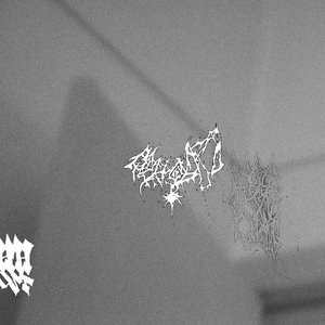 Veil