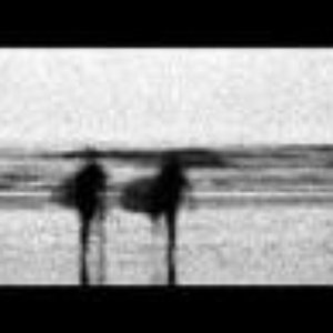 Sugar Candy Noise 的头像