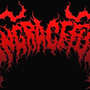 Ungraceful 的头像