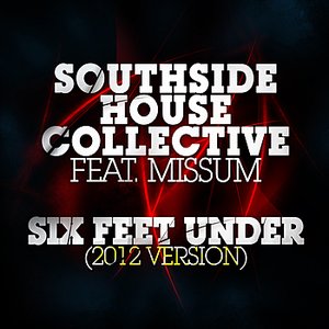 'Six Feet Under 2012 (feat. MissuM)'の画像