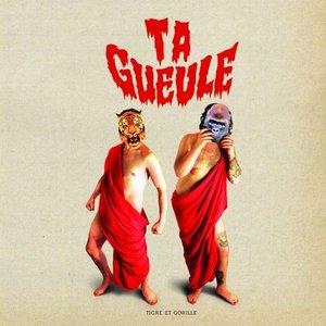 tigre et gorille