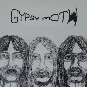 Gypsy Moth