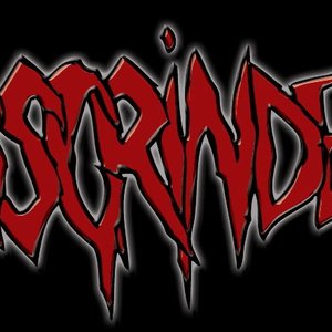 Assgrinder 的头像