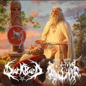 Spell Of The Woods