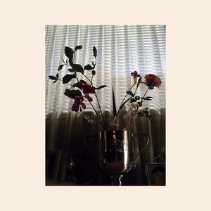 light comes in, you're forever