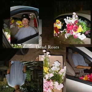 Dead Roses