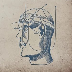 Mythology Of Brain & Body