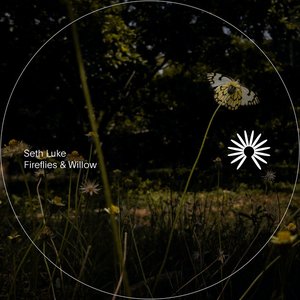 Fireflies & Willow (Instrumental Version)