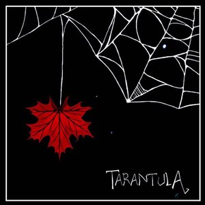 Tarantula