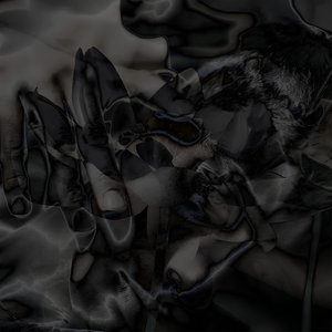 Sva001