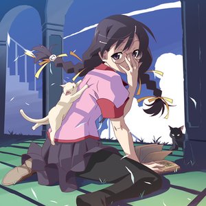 Tsubasa Hanekawa 的头像