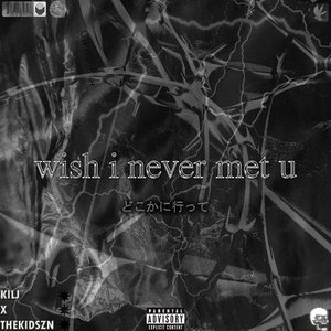 wish i never met u