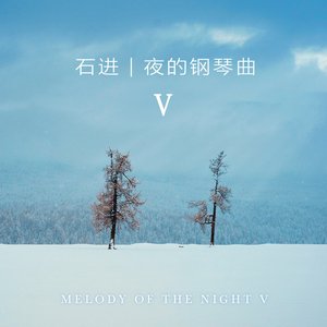 夜的钢琴曲Ⅴ