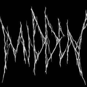 Midden 的头像